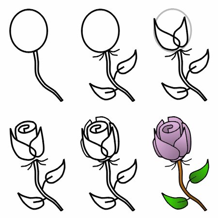 Aprender a dibujar una rosa