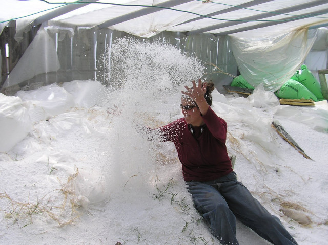 Ideas útiles para reciclar espuma de poliestireno